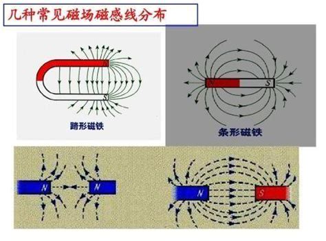 磁場的意思